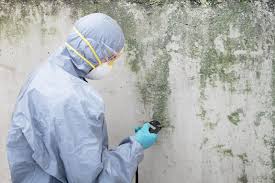 Best Commercial Mold Inspection  in Bloomington, IL